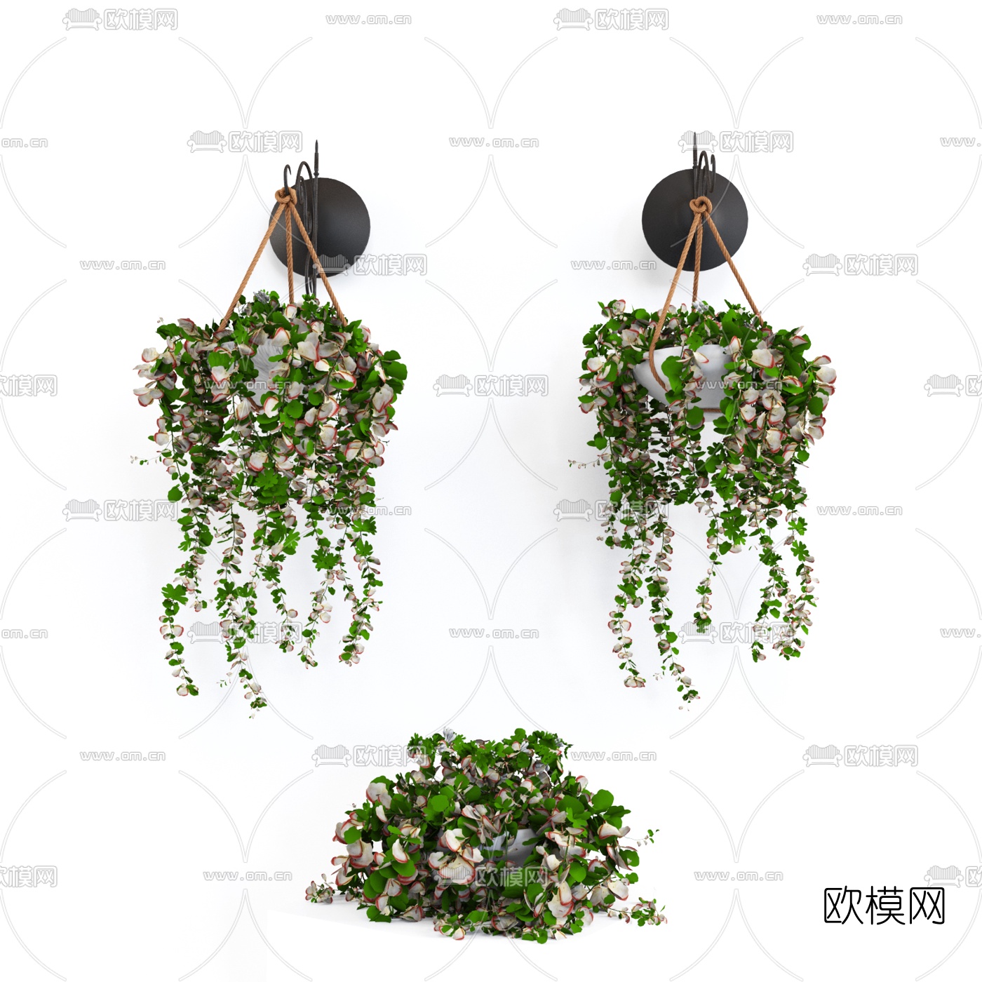 现代绿色植物吊篮盆栽3d模型下载