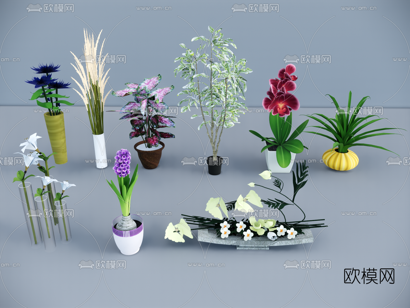 现代植物盆栽su模型下载（渲染图1）