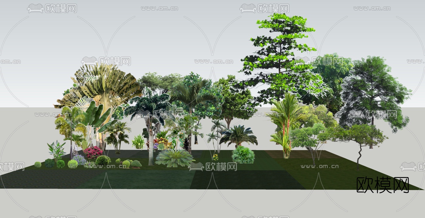 现代景观树绿植su模型下载