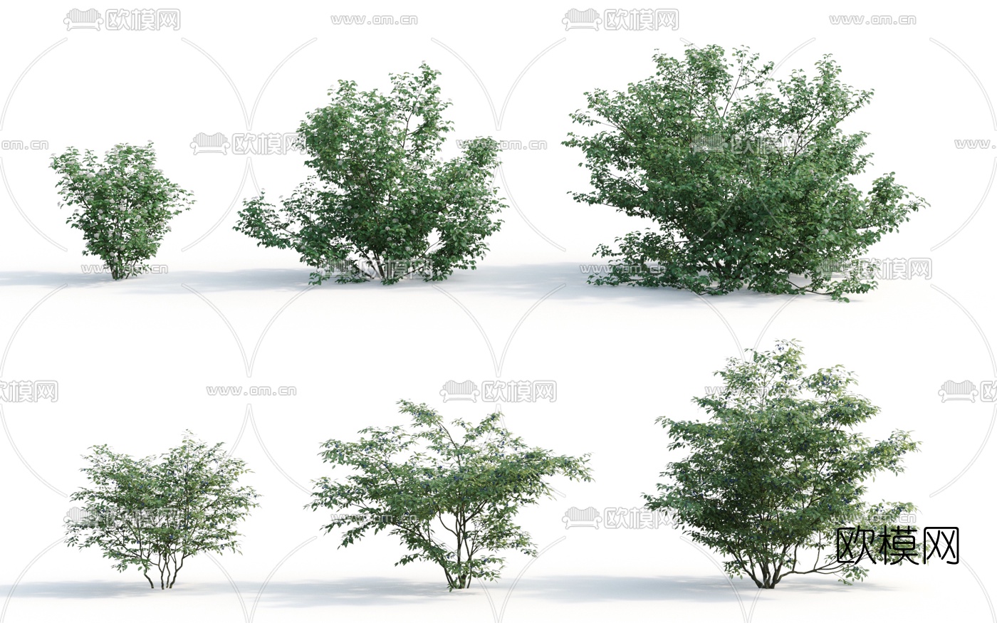现代灌木花草3d模型