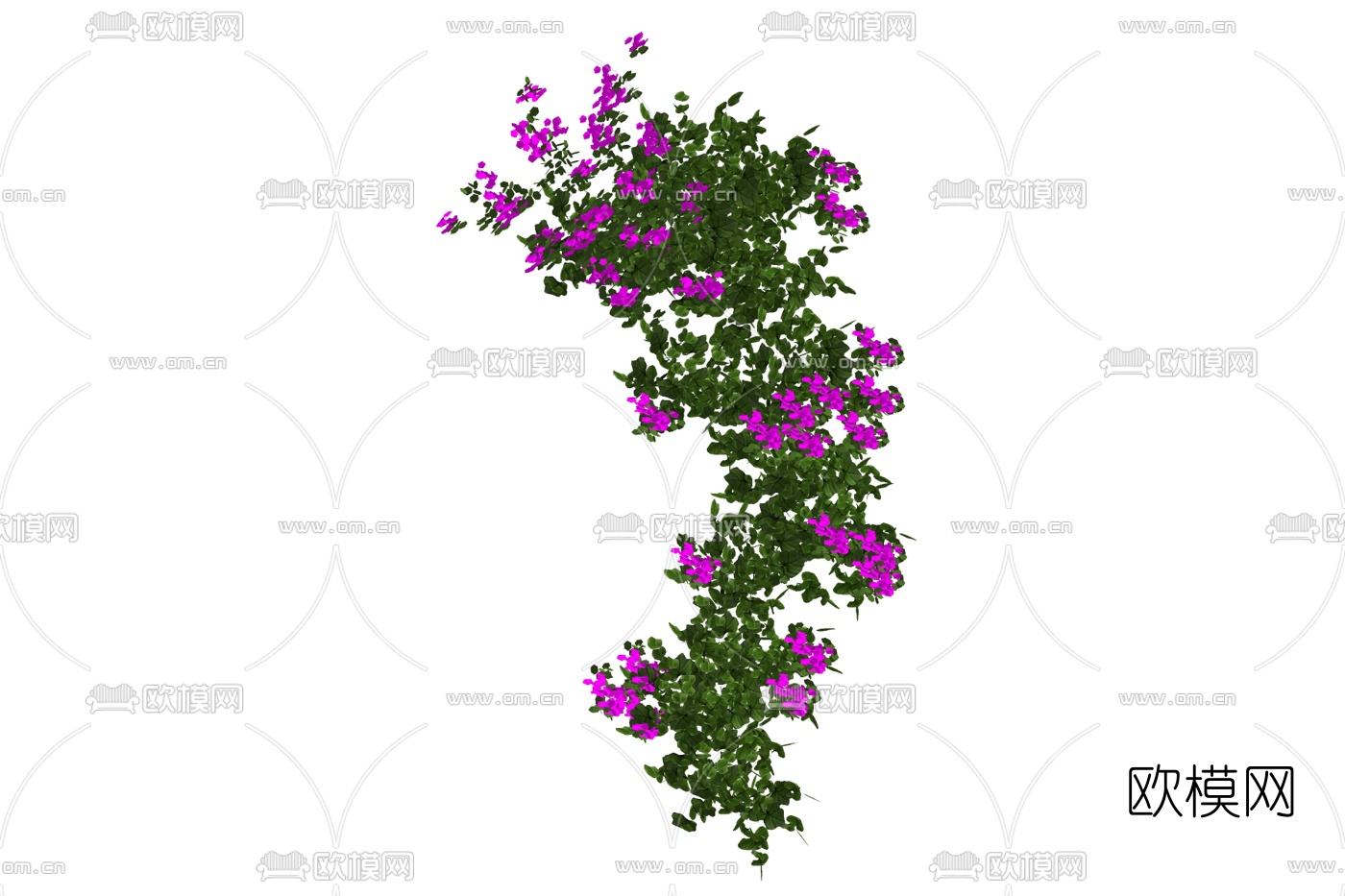 现代绿植藤蔓免费su模型下载