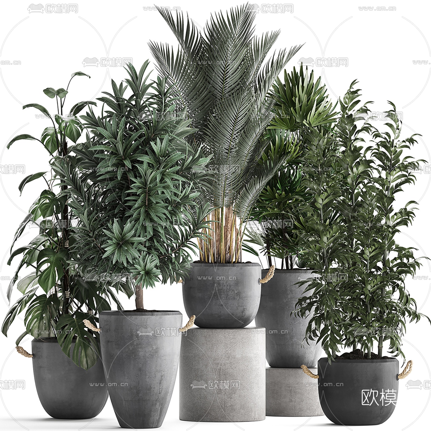 现代室内盆栽植物3d模型