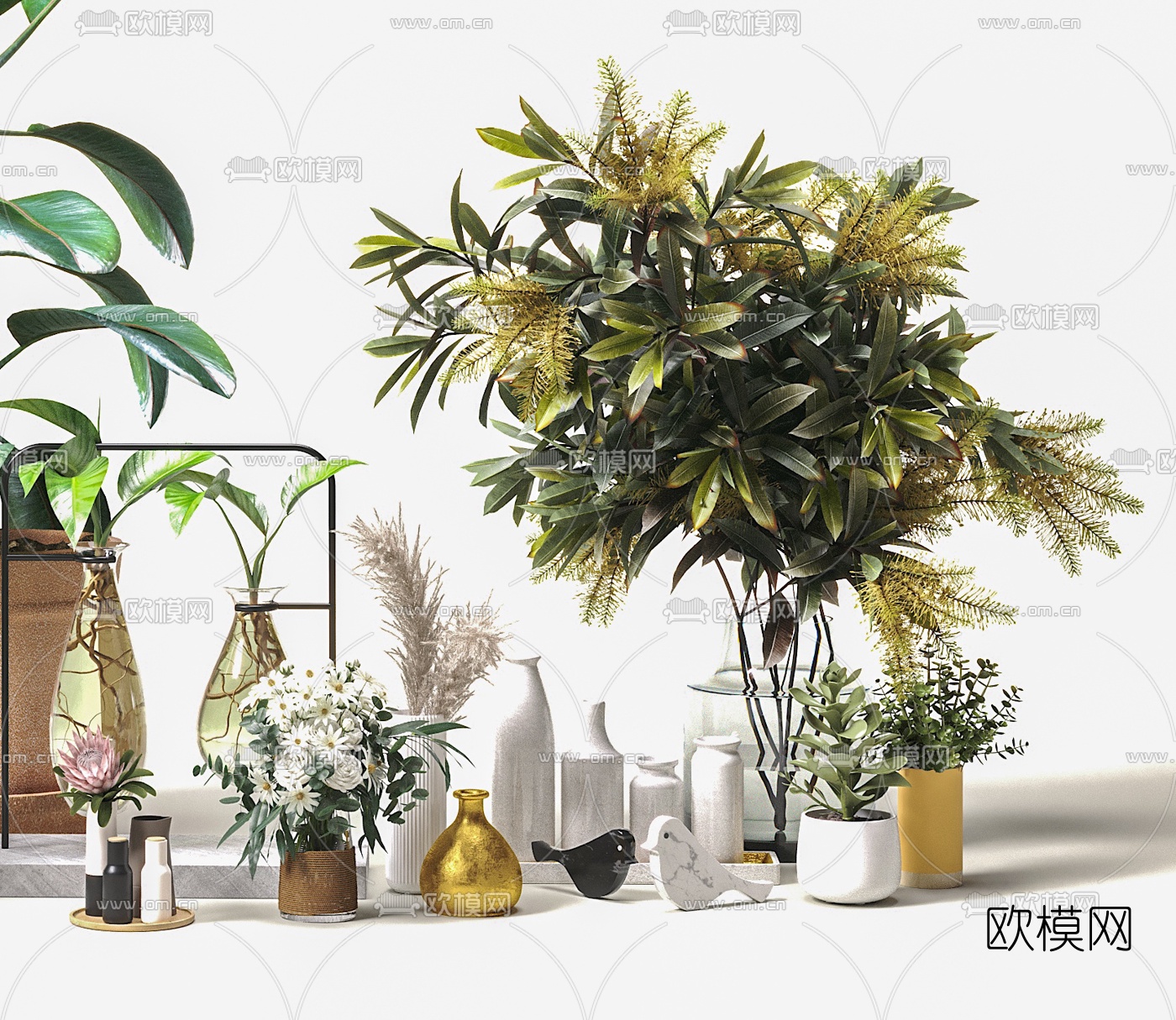 现代植物盆栽组合3d模型