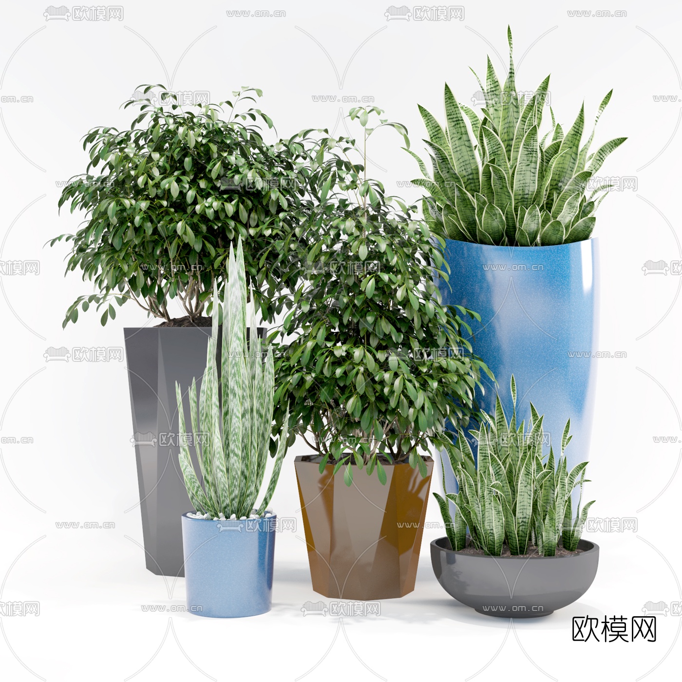 现代植物盆栽组合3d模型