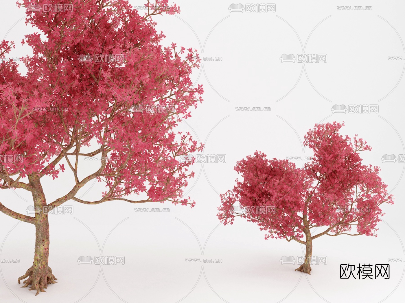 现代红枫景观树3d模型