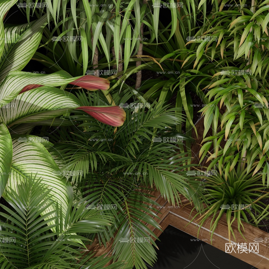 现代竹子植物3d模型