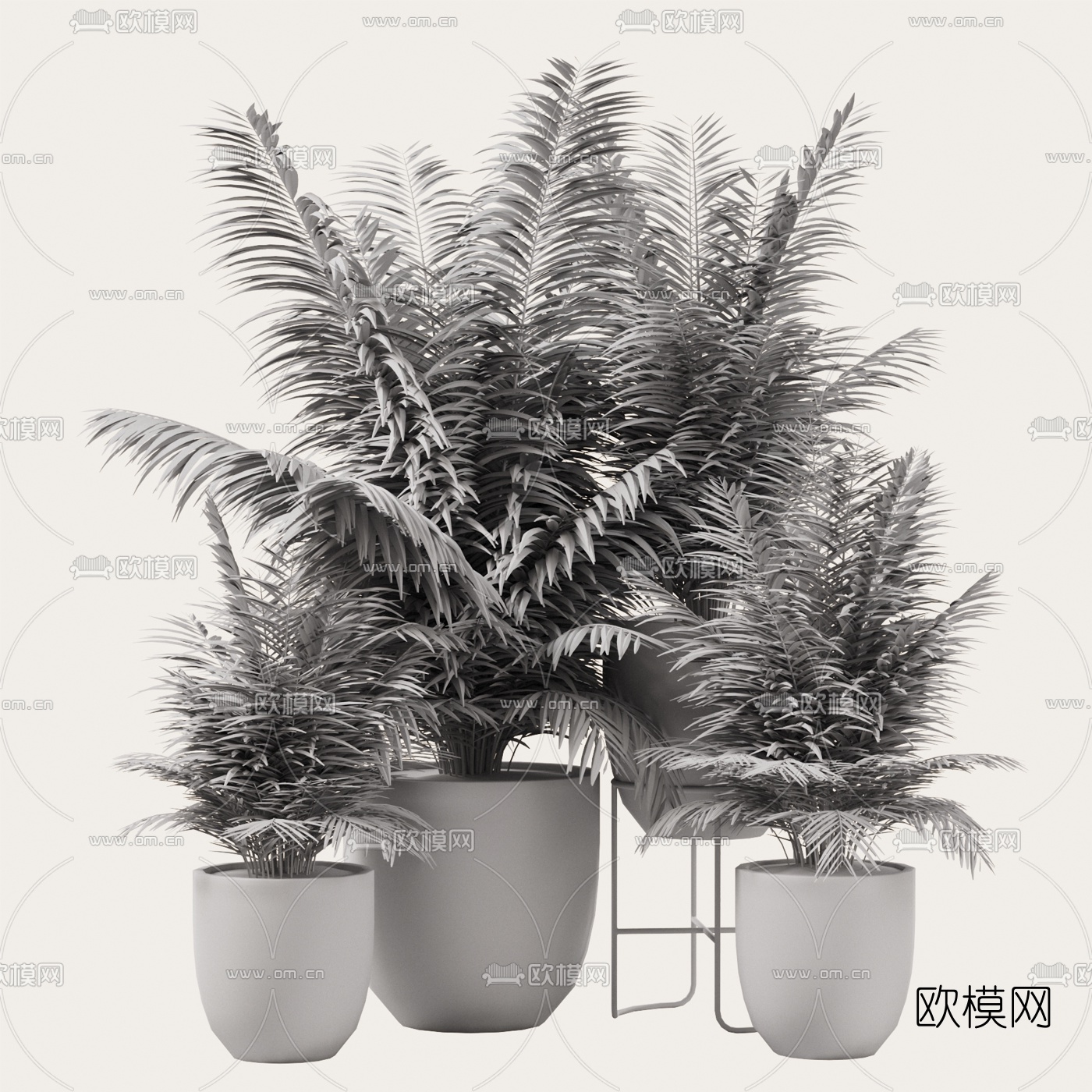 现代室内盆栽植物组合3d模型下载（渲染图2）