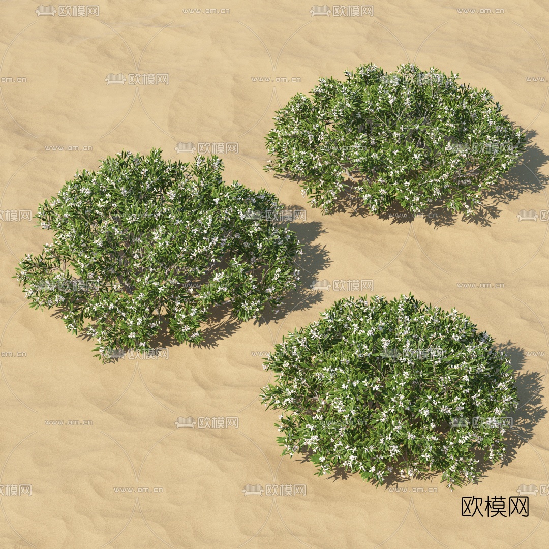 现代绿植灌木3d模型