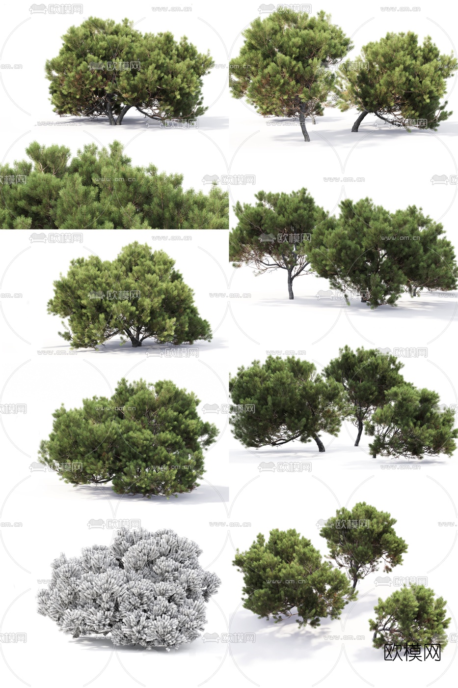 现代灌木3d模型下载