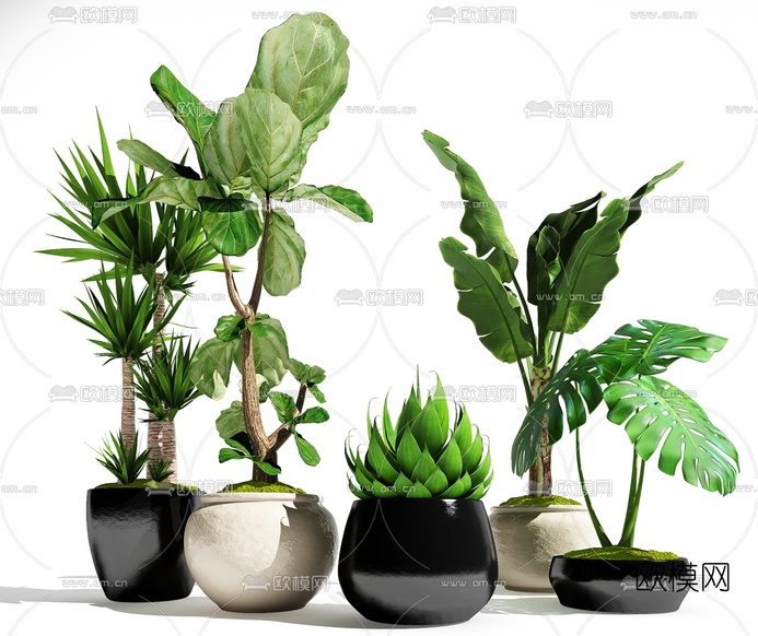 现代植物盆栽组合3d模型下载