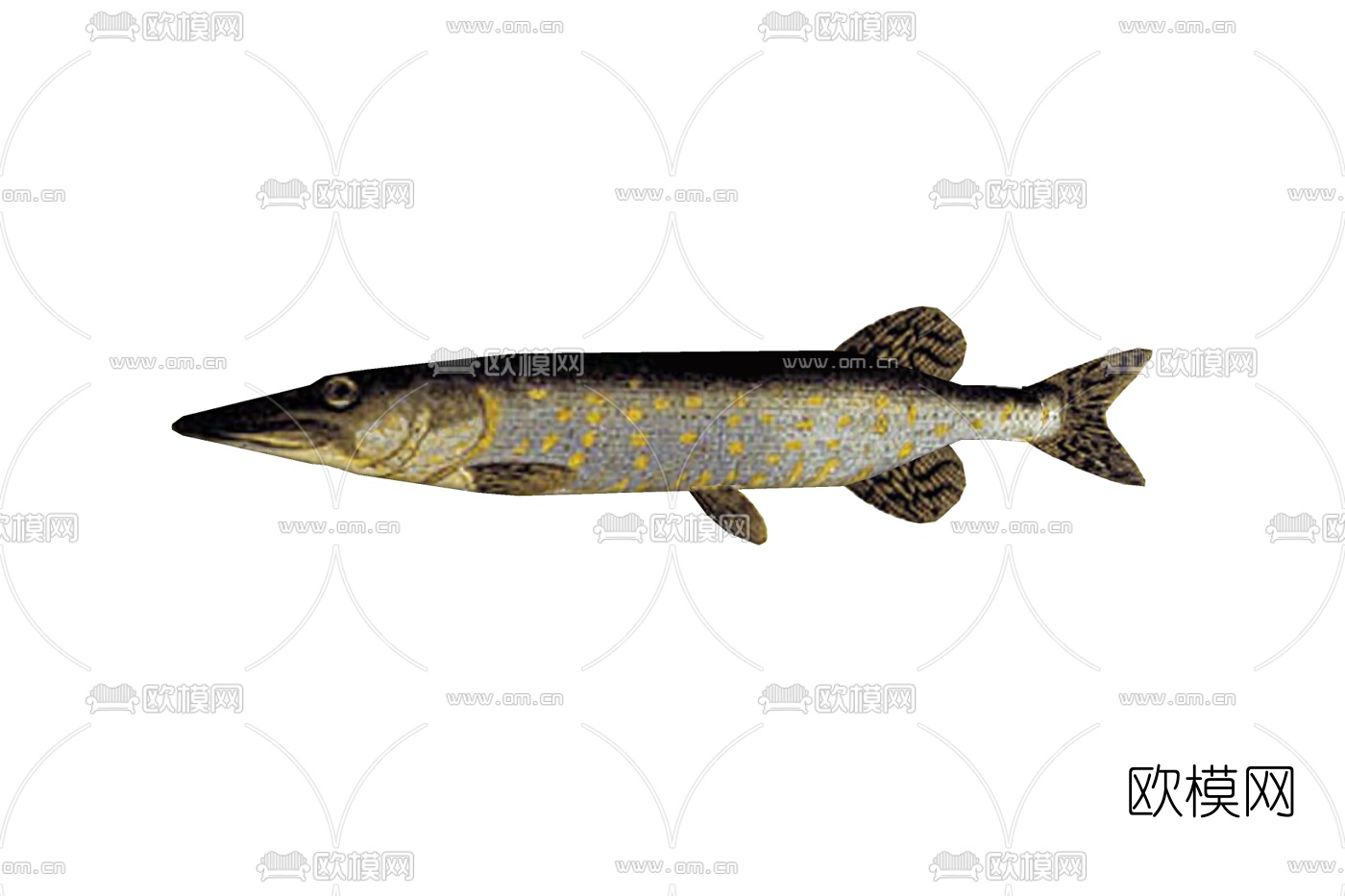 现代狗鱼免费su模型下载