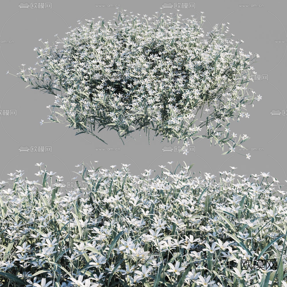 现代灌木丛3d模型