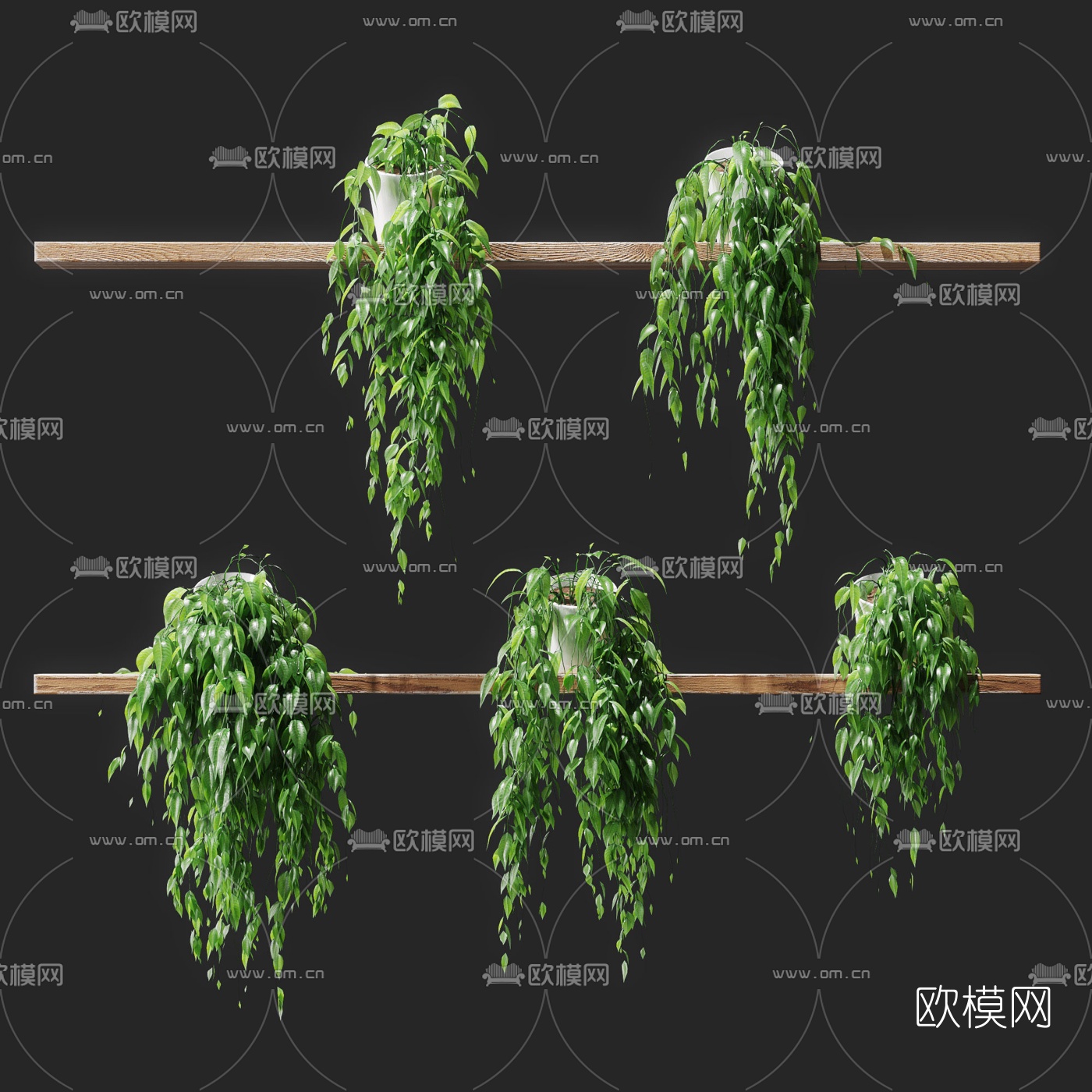 现代吊篮盆栽3d模型下载（渲染图1）