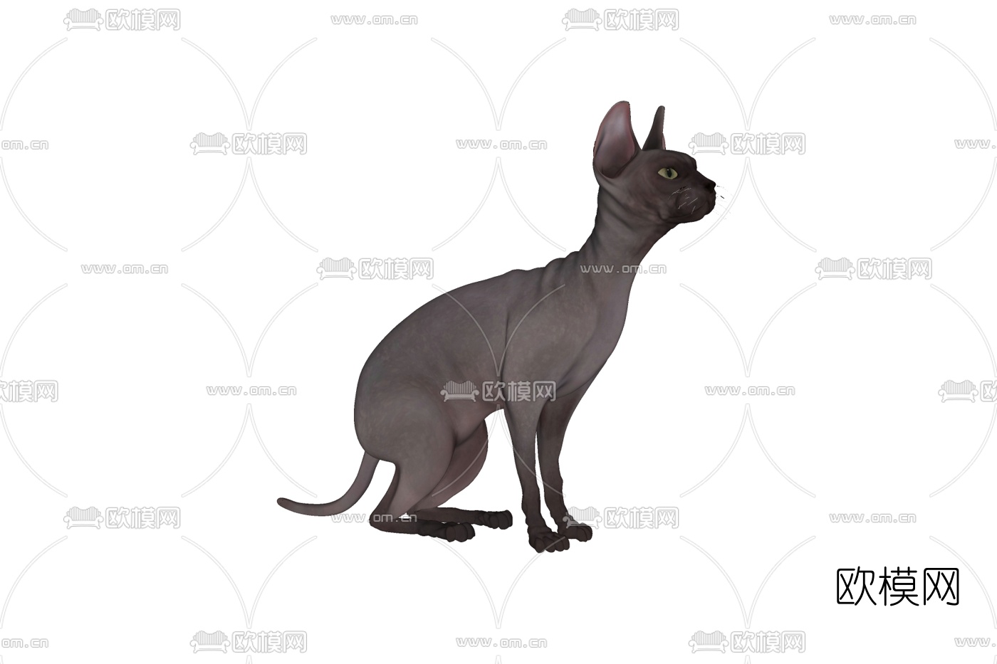 现代斯芬克斯猫免费su模型下载