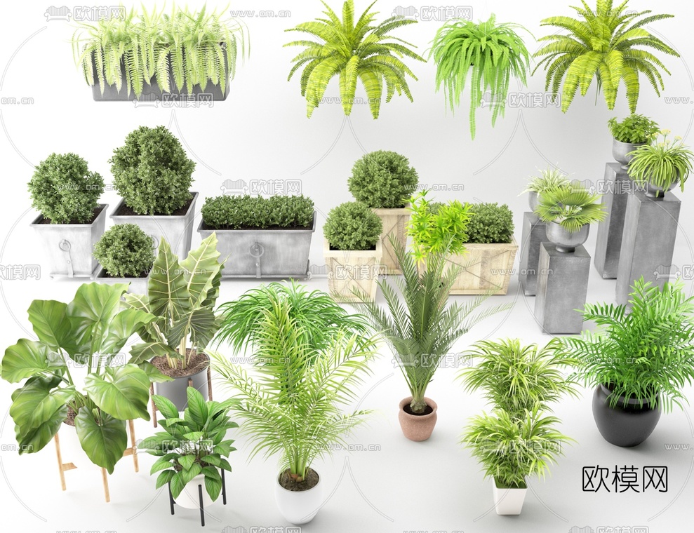 现代植物盆栽组合3d模型-免费3dmax模型库-欧模网