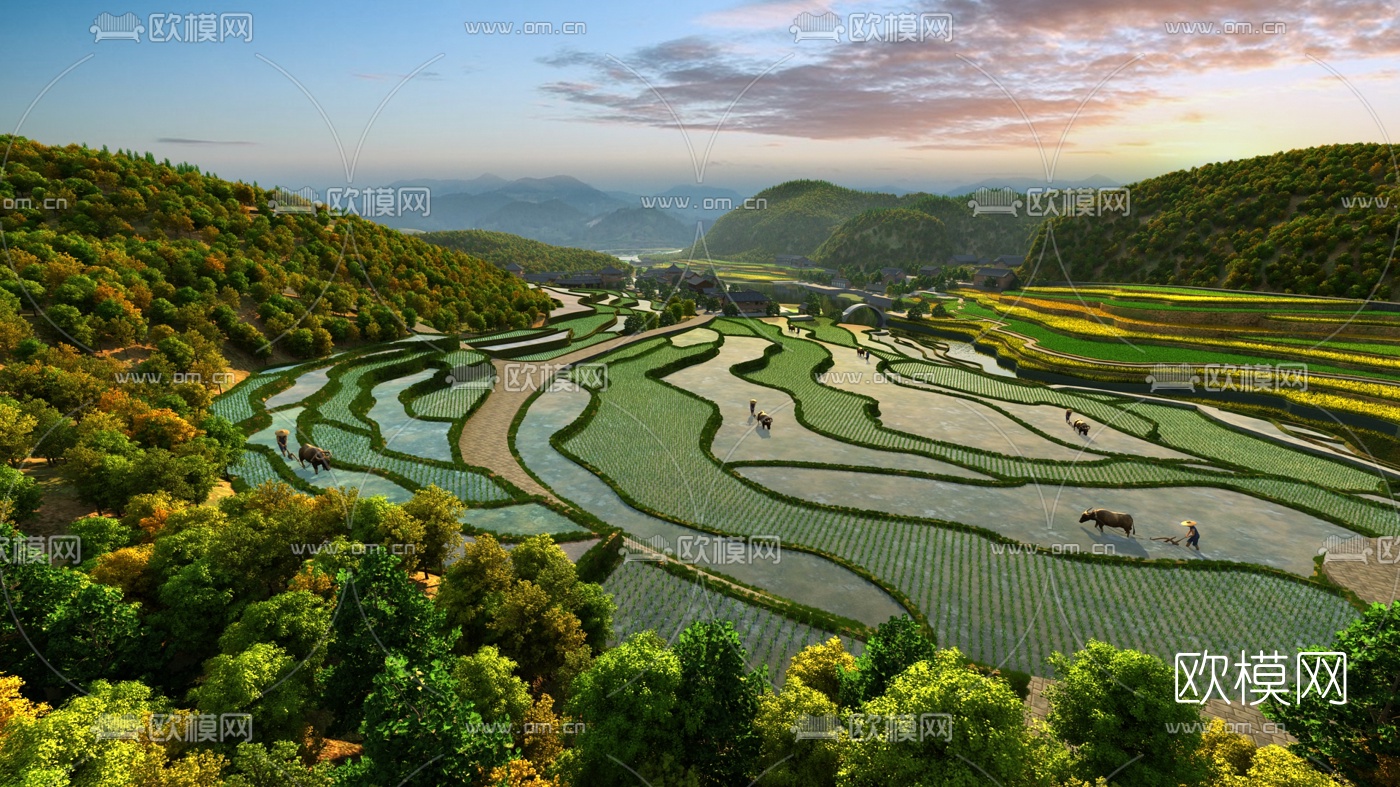 自然风梯田景观3d模型