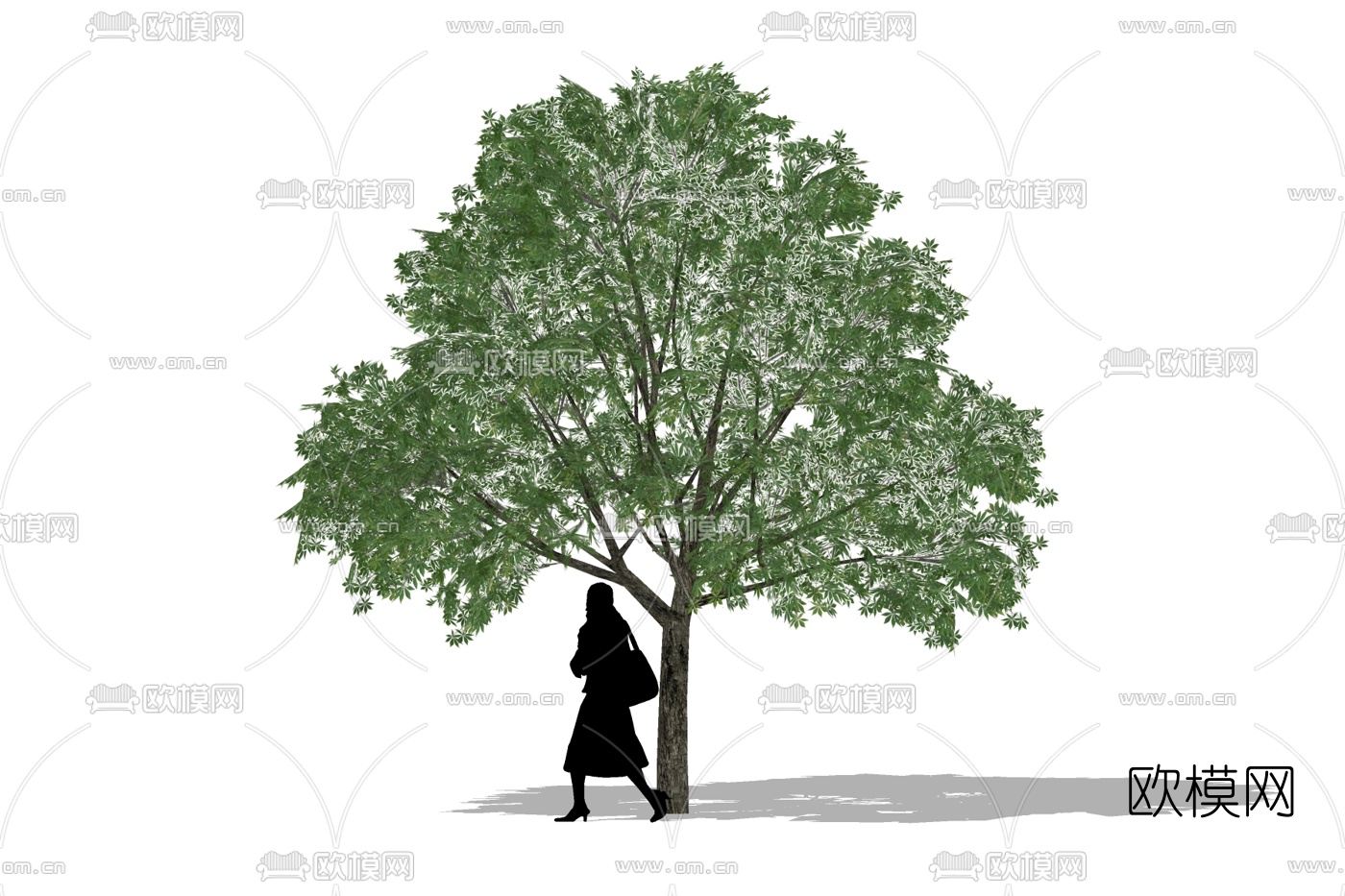 现代枫树免费su模型下载