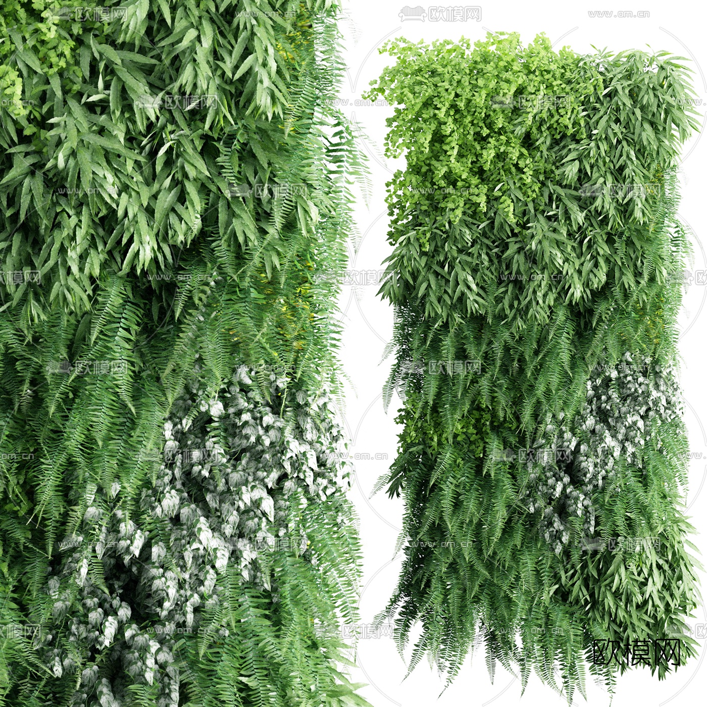 现代绿植植物墙3d模型下载