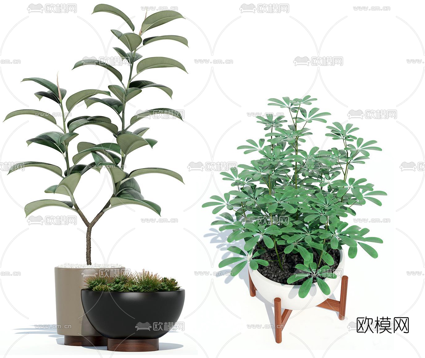 现代绿植盆栽3d模型-免费3dmax模型库-欧模网