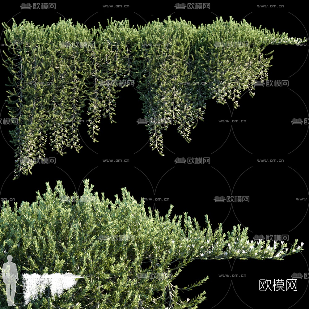 现代绿植藤蔓3d模型下载