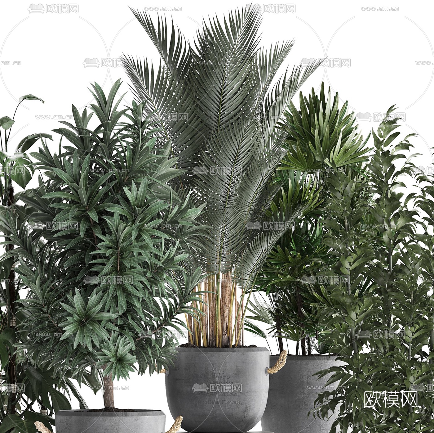 现代室内盆栽植物3d模型
