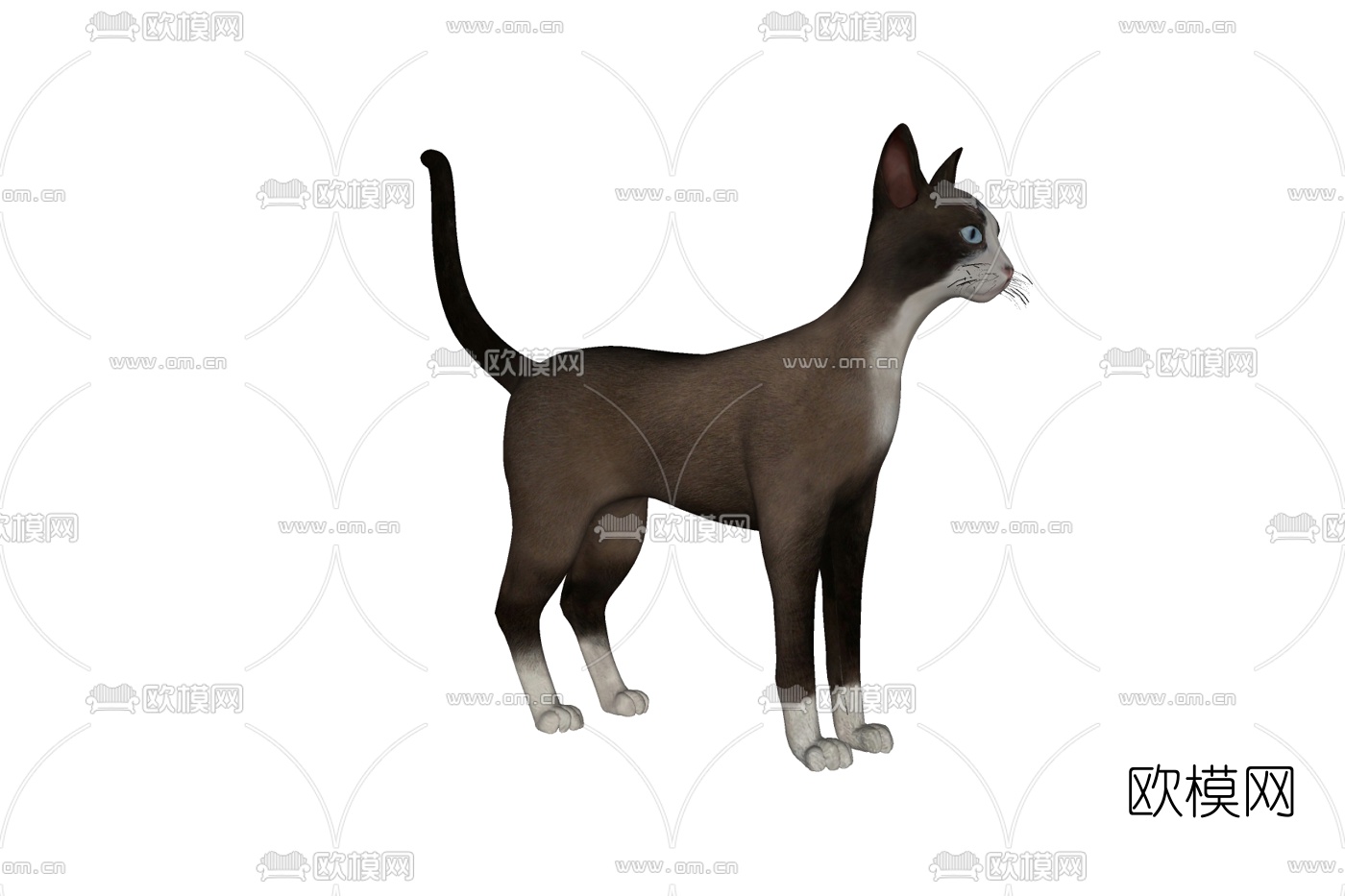 现代东方短毛猫免费su模型下载