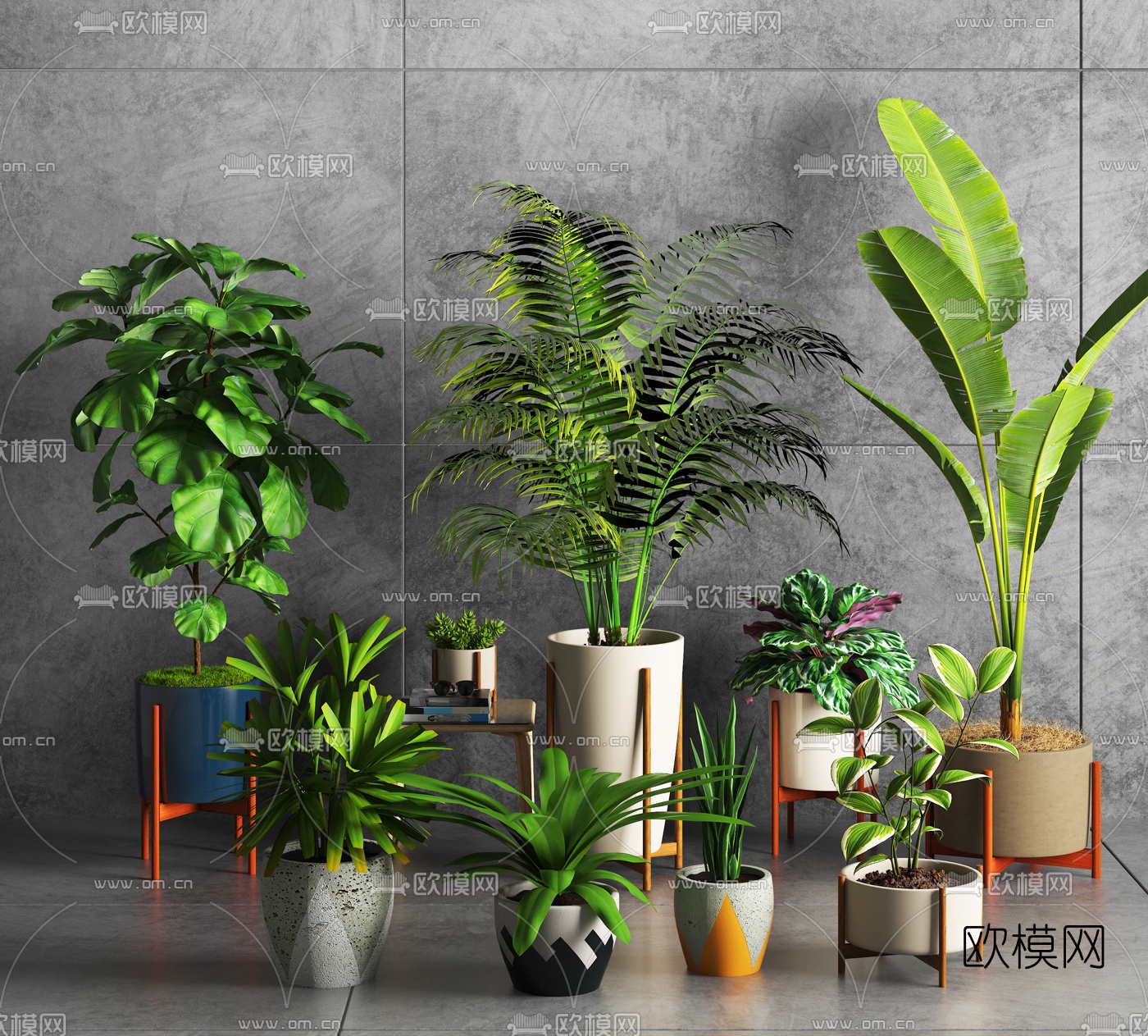 北欧芭蕉盆栽3d模型