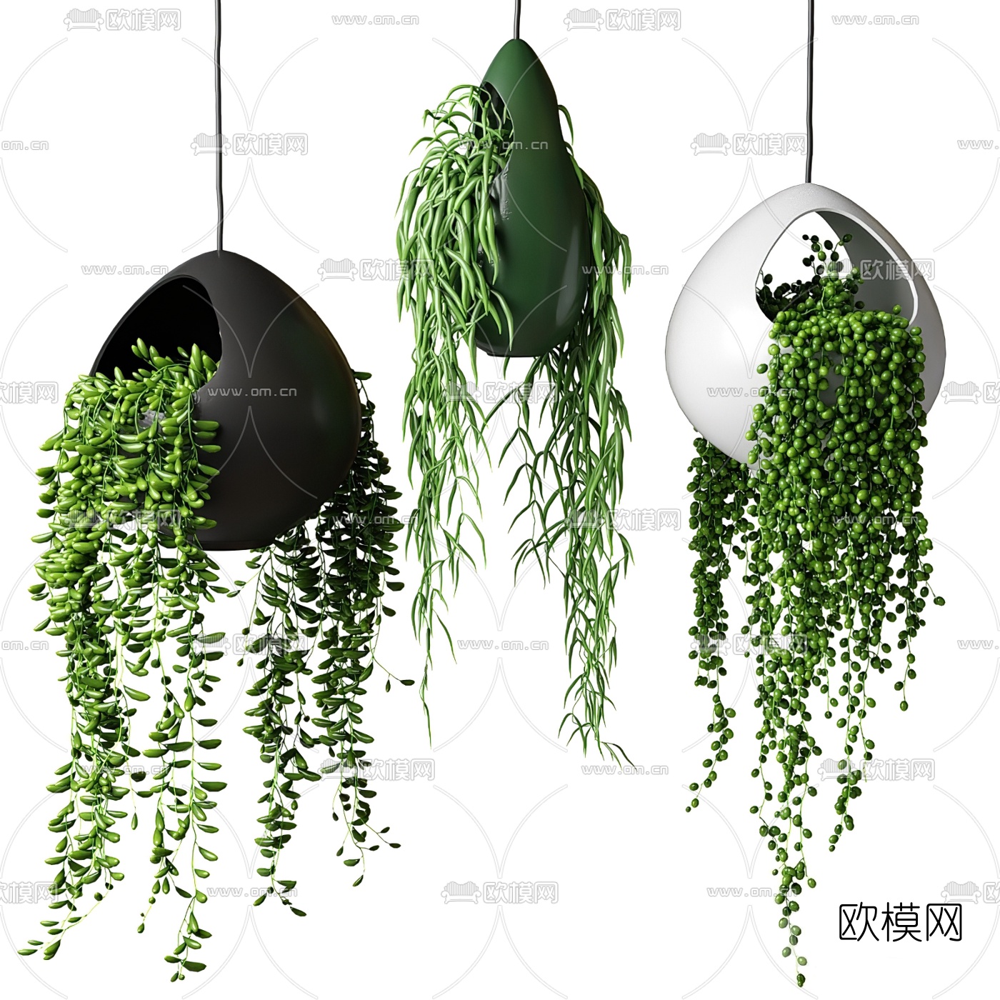 现代金属植物吊篮3d模型下载