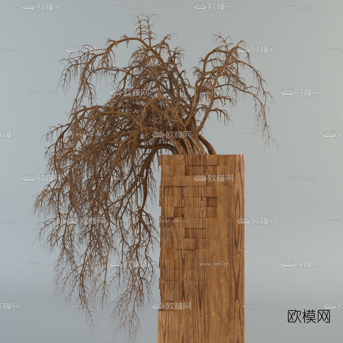 自然风干支盆栽免费3d模型下载（渲染图2）