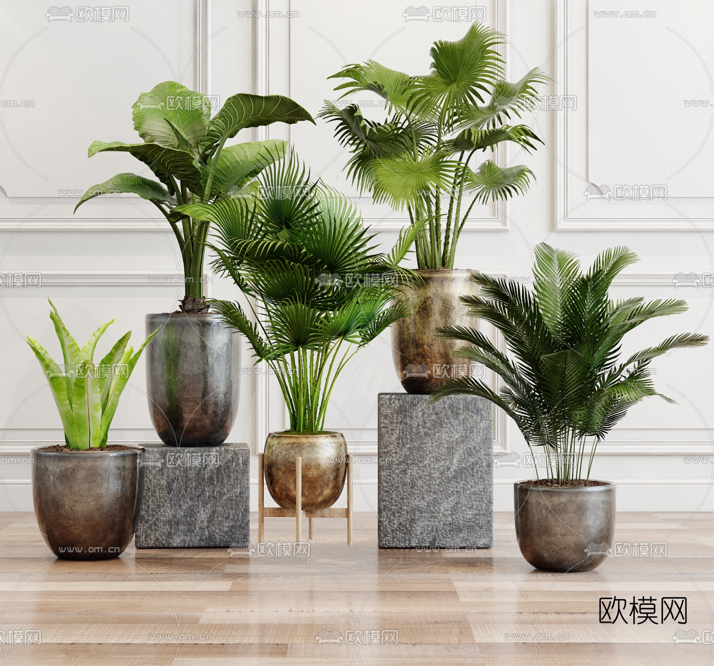 现代植物盆栽3d模型下载