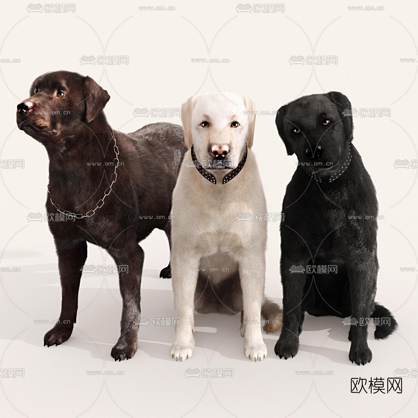 现代拉布拉多狗3d模型