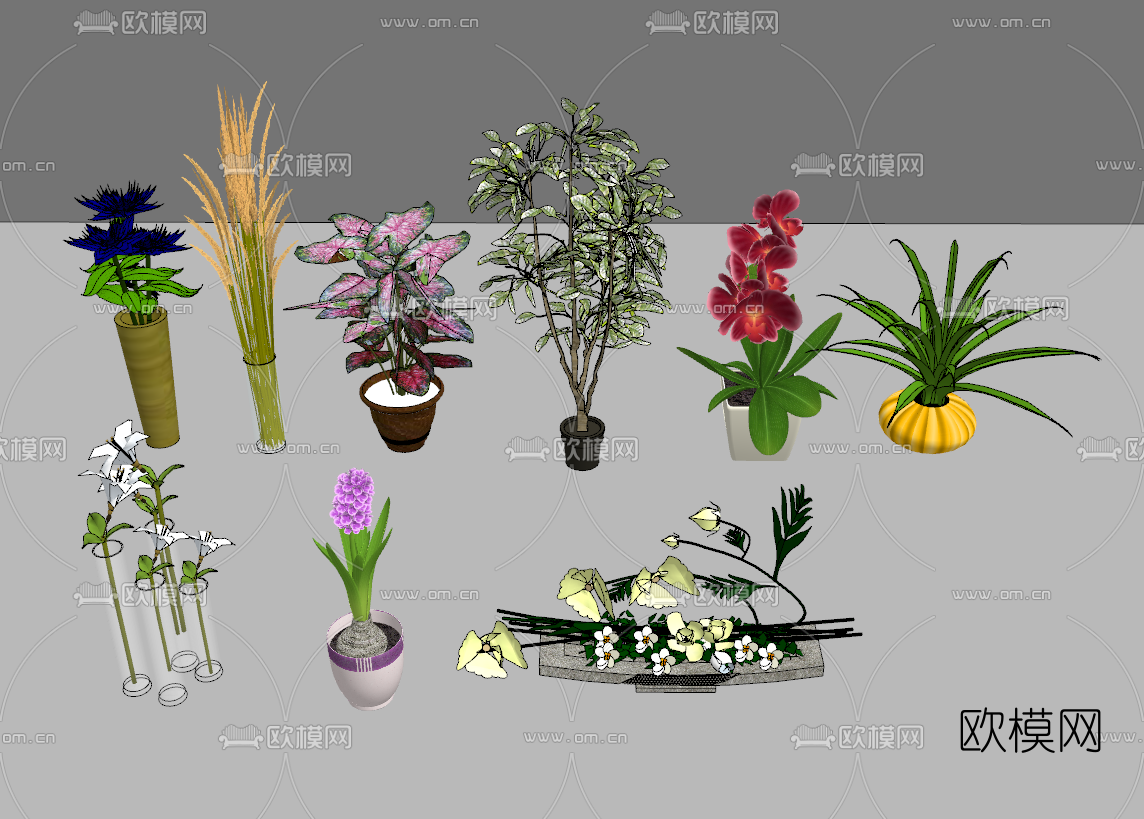 现代植物盆栽su模型下载（渲染图2）