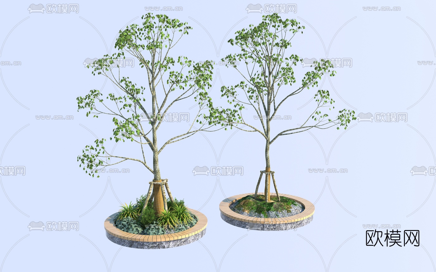 现代景观树3d模型下载