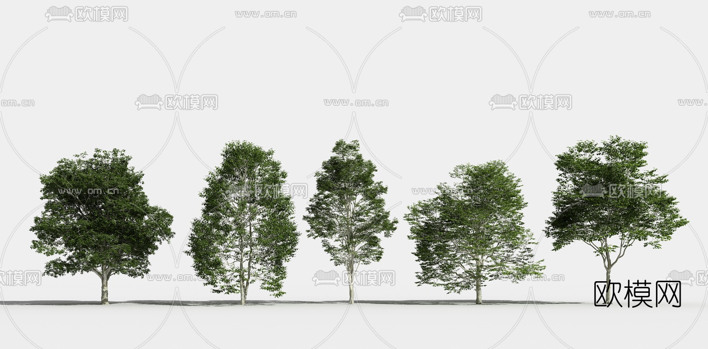 现代景观树3d模型下载