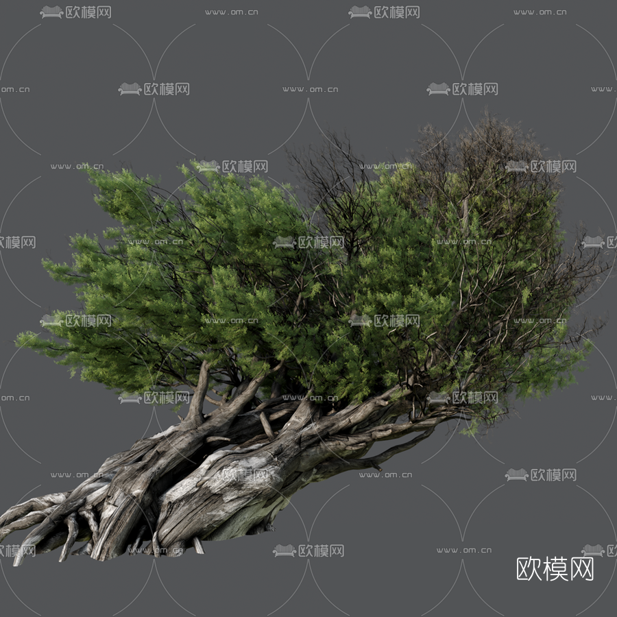 自然风枯树免费3d模型下载