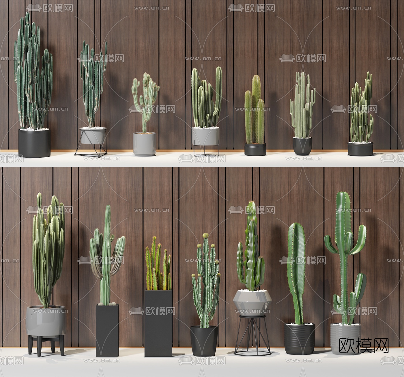 现代仙人掌盆栽组合3d模型下载