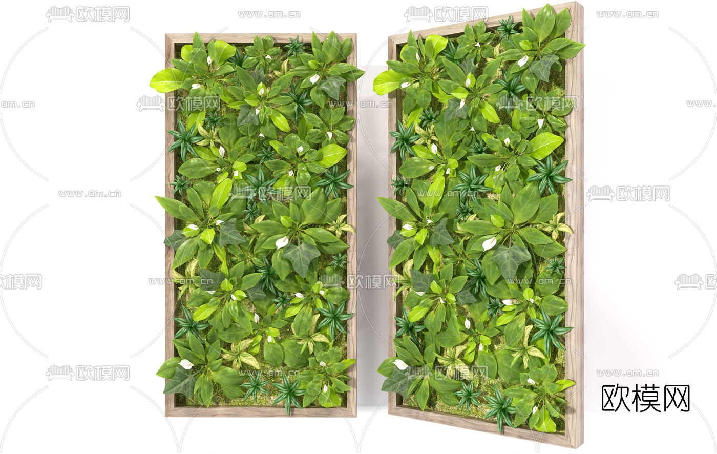 现代绿植花卉植物墙3d模型下载