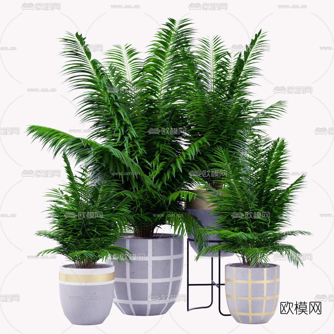 现代室内盆栽植物组合3d模型下载（渲染图1）