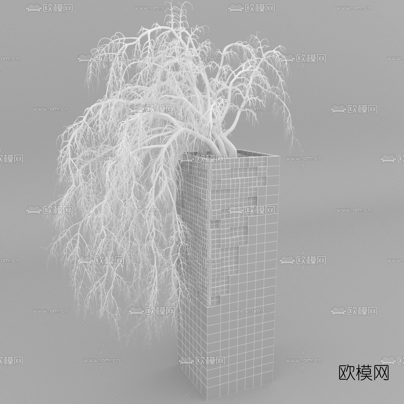 自然风干支盆栽免费3d模型下载（渲染图4）