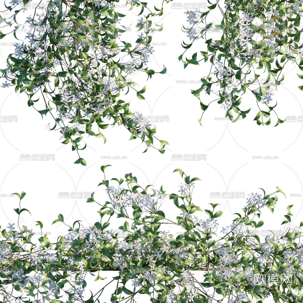 现代绿植藤蔓3d模型下载（渲染图2）