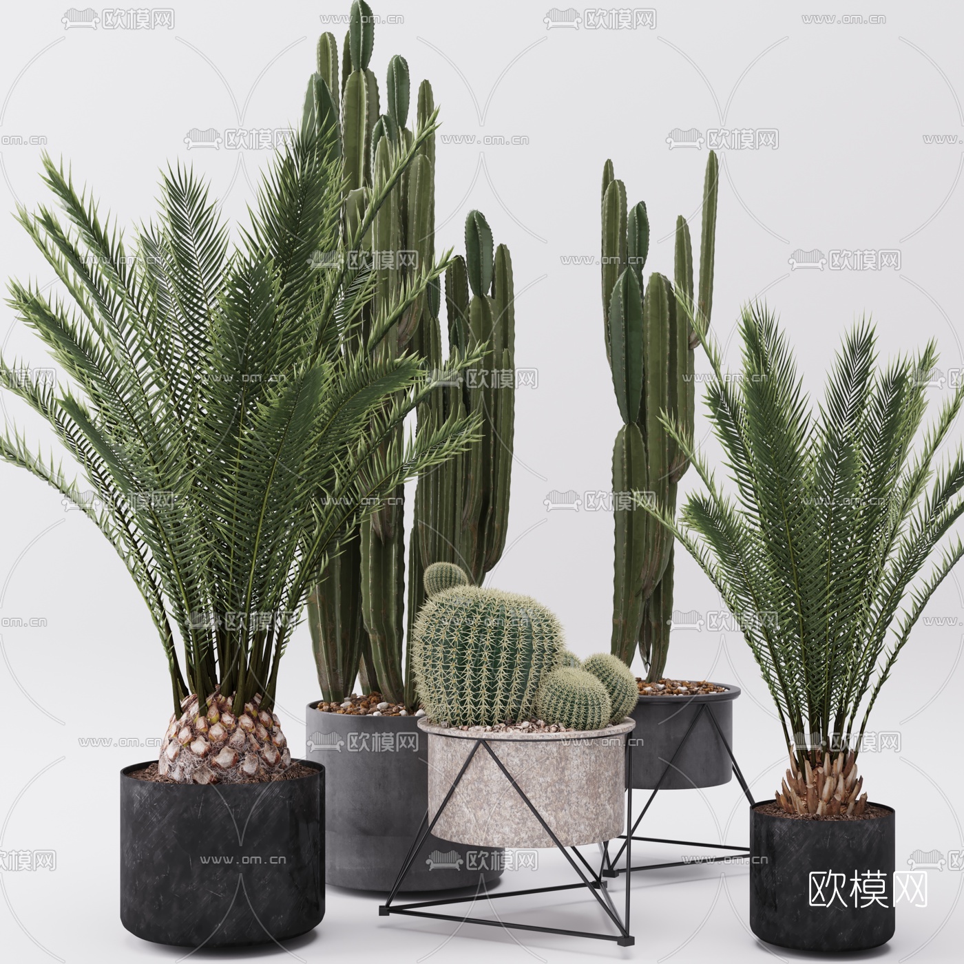现代绿植盆栽3d模型