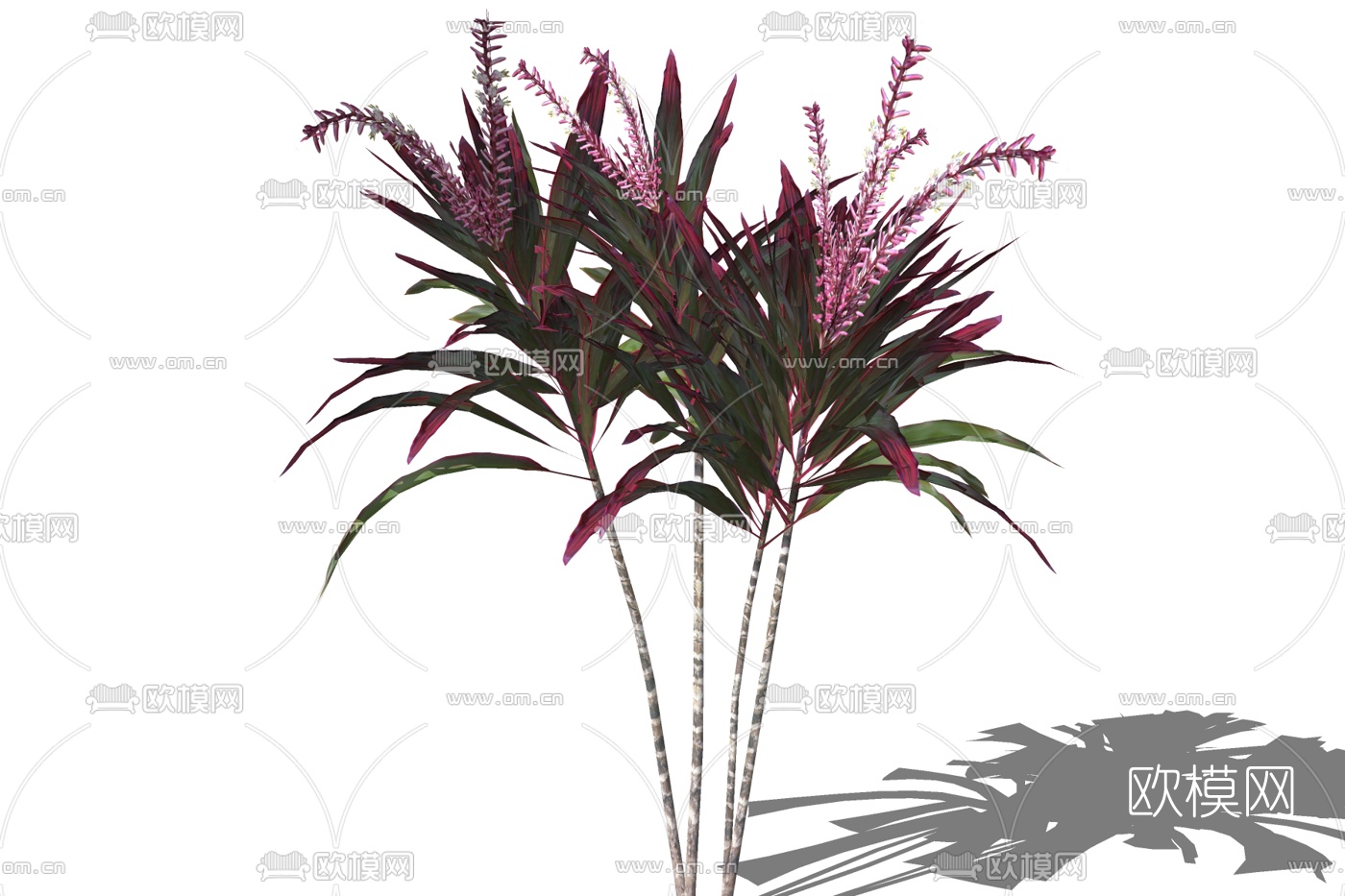 现代绿植花草免费su模型下载