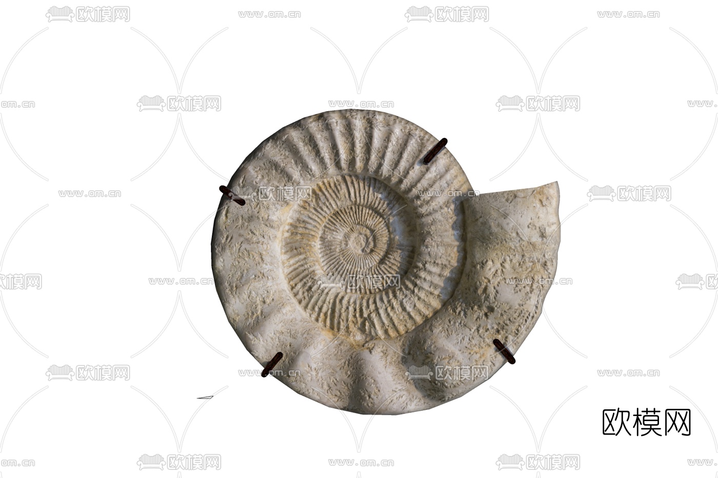 现代蜗牛壳装饰挂件免费su模型