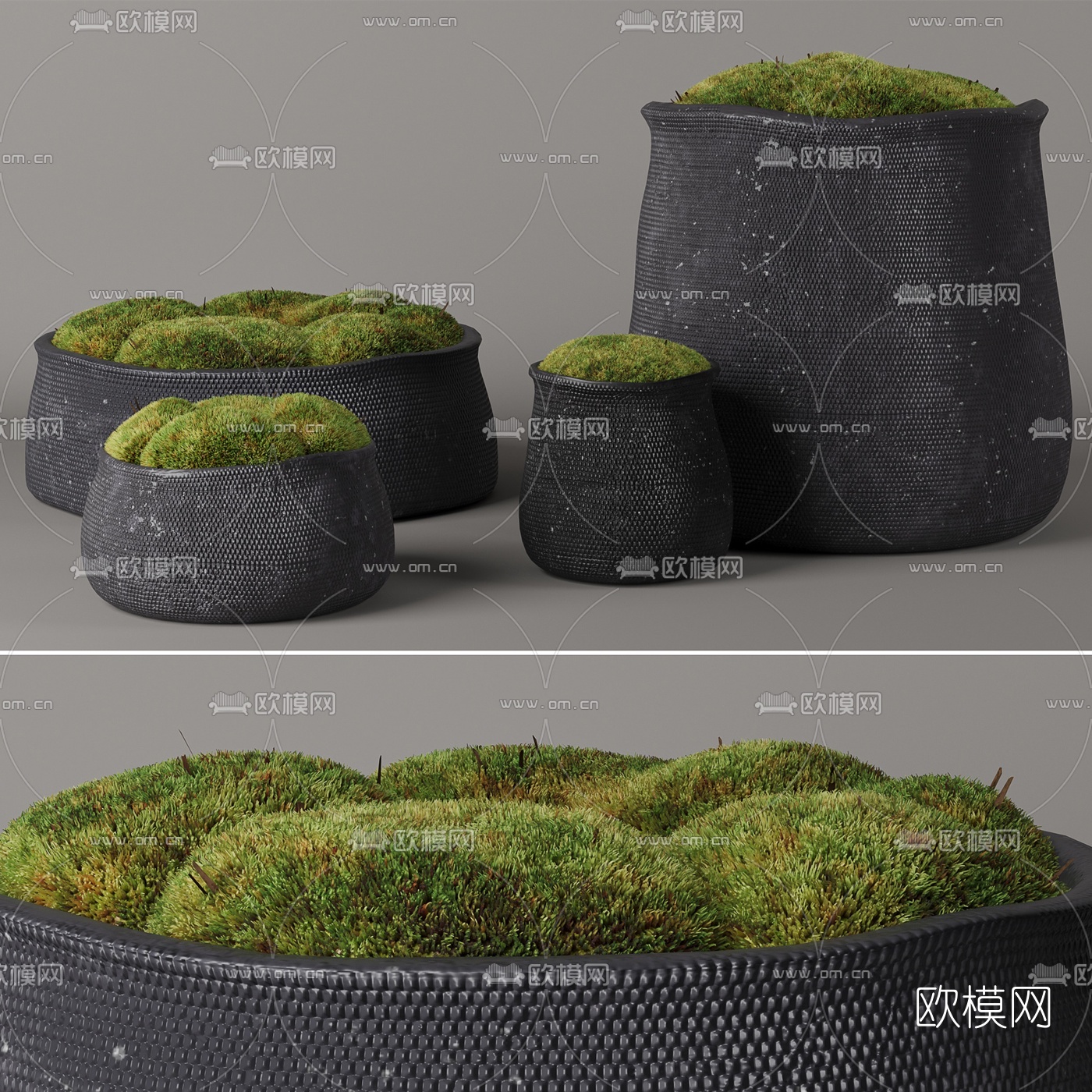 现代苔藓盆栽3d模型