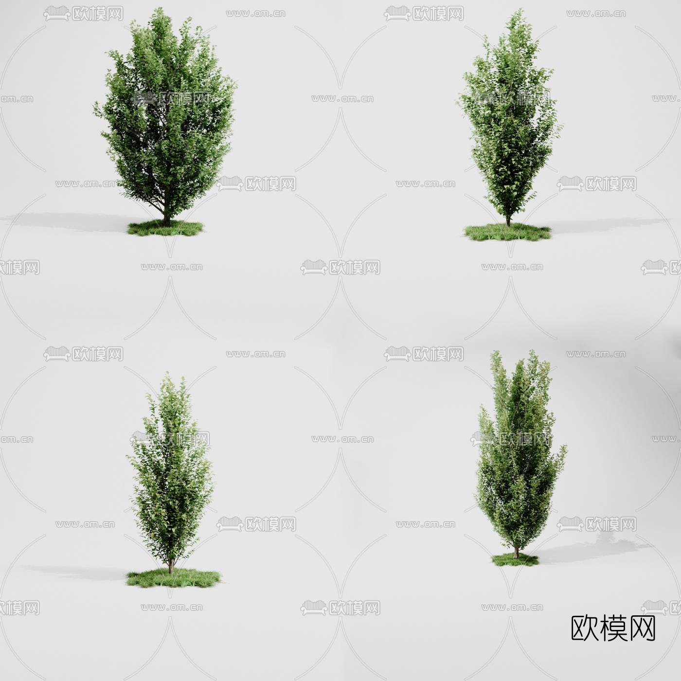 现代室外树3d模型
