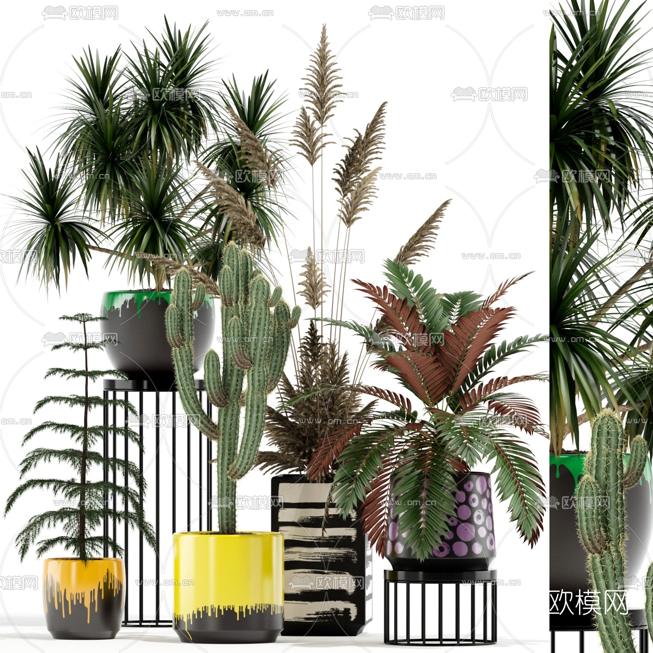 现代植物盆栽组合3D模型下载_ID10198408_3dmax免费模型-欧模网