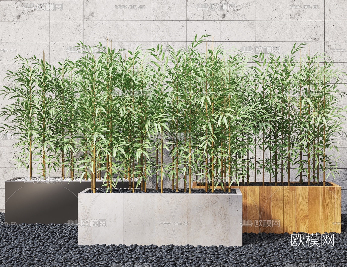 现代竹子绿植盆栽3d模型