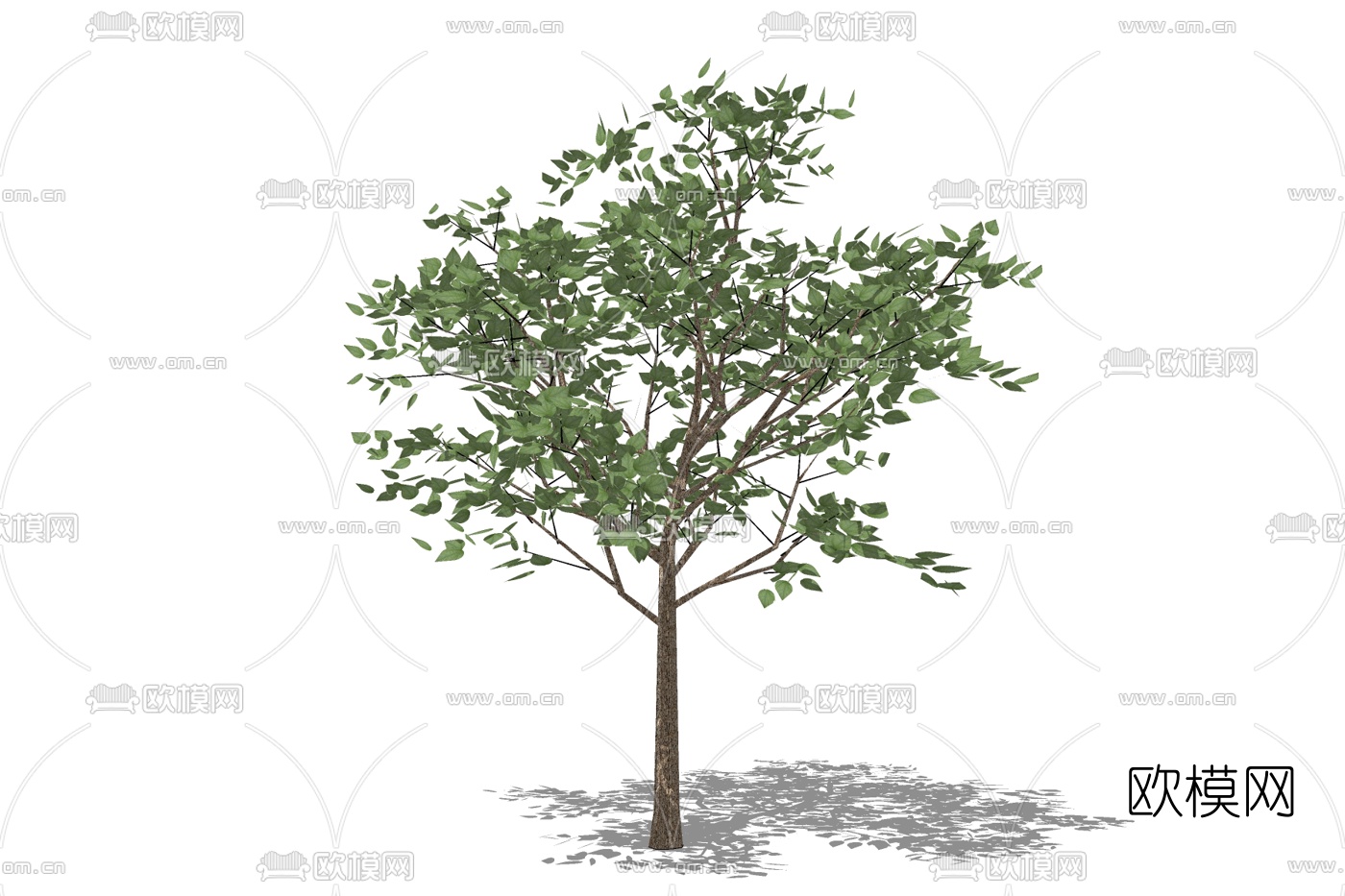 现代绿植免费su模型下载