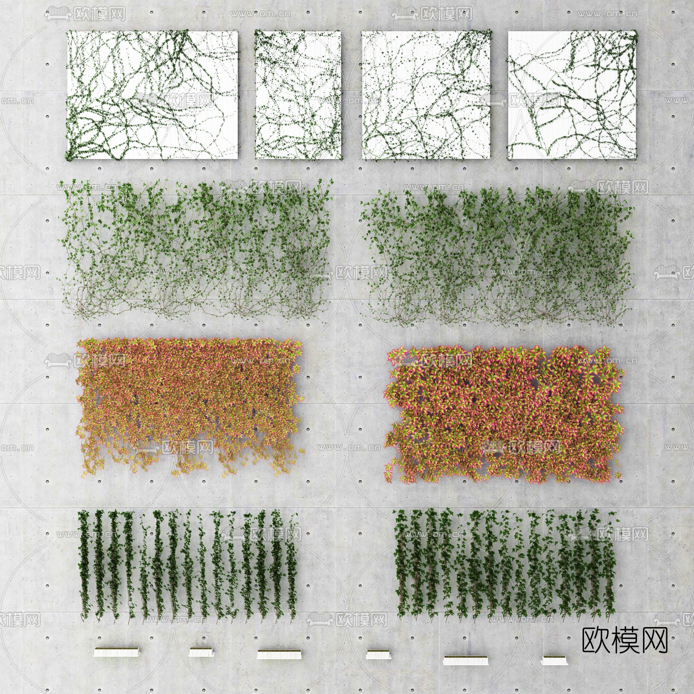 现代爬山虎藤蔓3d模型下载
