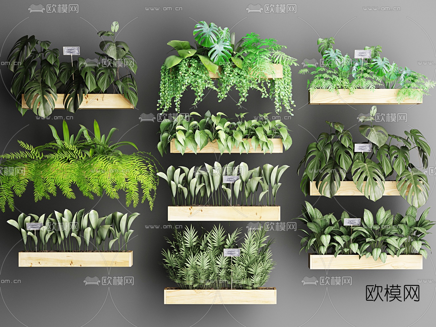 现代绿植盆栽3d模型下载